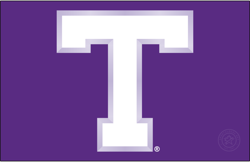Tarleton Texans 2005-2018 Primary Dark Logo diy iron on heat transfer